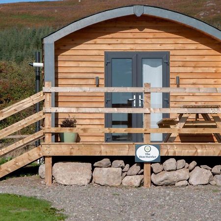 The Hen Harrier - 4 Person Luxury Glamping Cabin Hotel Dungarvan  Exterior foto